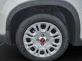 Fiat Panda MY24 Hybrid 1.0 GSE 70PS KLIMAANLAGE*RADIO Blanc - thumbnail 11