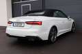 Audi S5 3.0 TFSI quattro Cabrio/360°/B&O/APPLE/R19 bijela - thumbnail 5