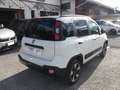 Fiat Panda 1.2 City Cross 2WD - 34.000 KM Bianco - thumbnail 4