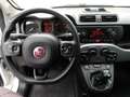 Fiat Panda 1.2 City Cross 2WD - 34.000 KM Bianco - thumbnail 11