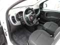 Fiat Panda 1.2 City Cross 2WD - 34.000 KM Bianco - thumbnail 8
