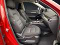 Mazda CX-5 2,5 AWD Sports-Line NAVI-360KAMERA-LED-BOSE Rot - thumbnail 14