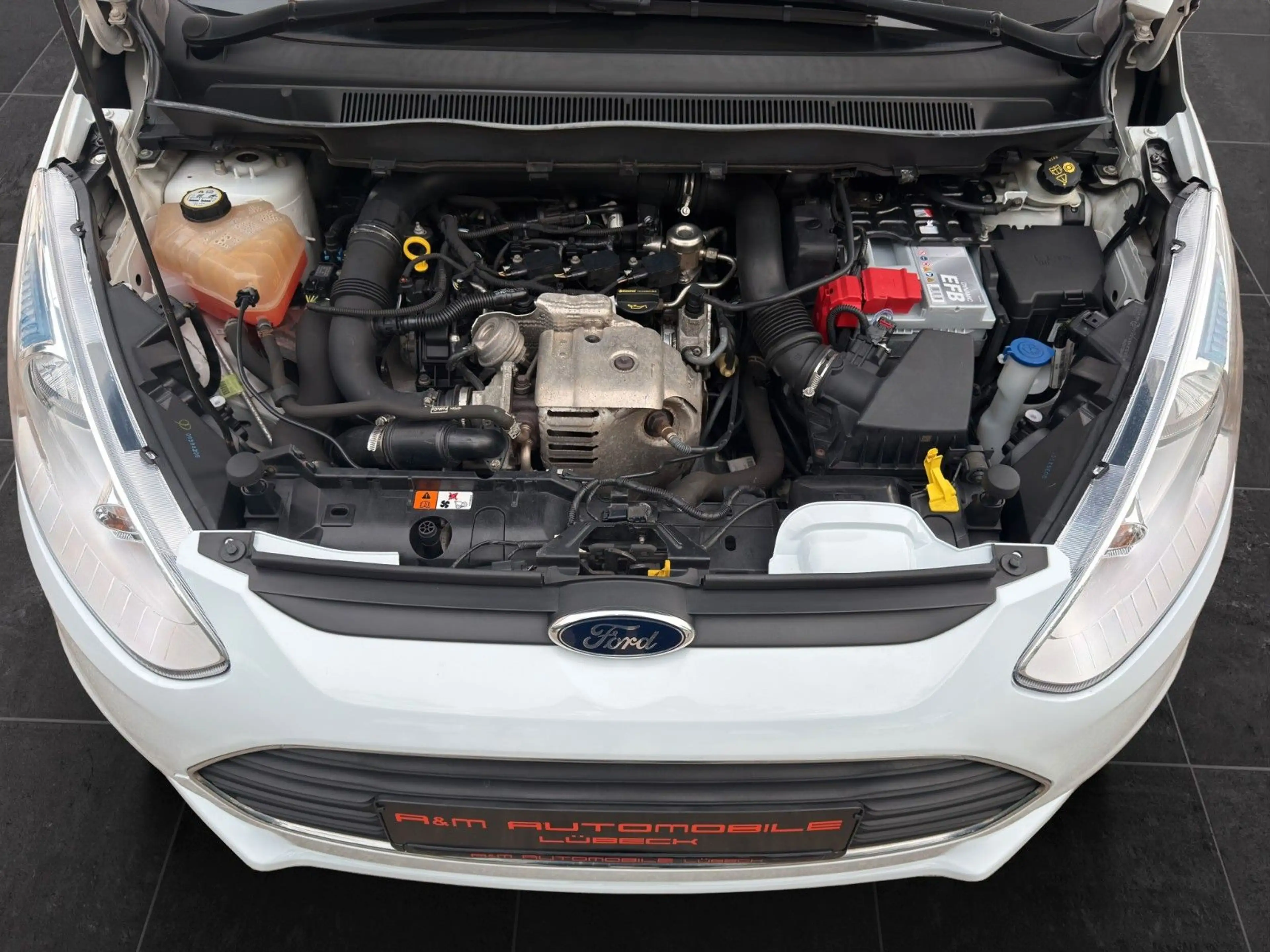 Ford B-Max Trend Zahnriemen Service TÜV NEU — photo 25