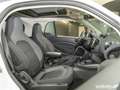 smart forTwo ForTwo Coupé EQ Passion LED/22kW/Pano/Kamera/DAB Rot - thumbnail 13