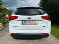 Kia Ceed SW / cee'd SW cee'd SW 1,6 CRDi Silber Plus Silber Plus Weiß - thumbnail 4