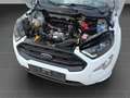 Ford EcoSport ST-Line 1.0 EcoBoost EU6d Weiß - thumbnail 19