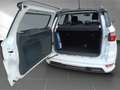 Ford EcoSport ST-Line 1.0 EcoBoost EU6d Weiß - thumbnail 18