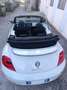 Volkswagen Maggiolino Maggiolino 2011 Cabrio Cabrio 1.6 tdi Blanc - thumbnail 4