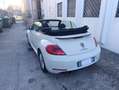 Volkswagen Maggiolino Maggiolino 2011 Cabrio Cabrio 1.6 tdi Blanc - thumbnail 3