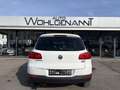 Volkswagen Tiguan Austria BlueMotionTech Weiß - thumbnail 3