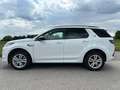 Land Rover Discovery Sport GARANTIE 2028 P300e Plug-In-Hybrid R-Dyna Weiß - thumbnail 17