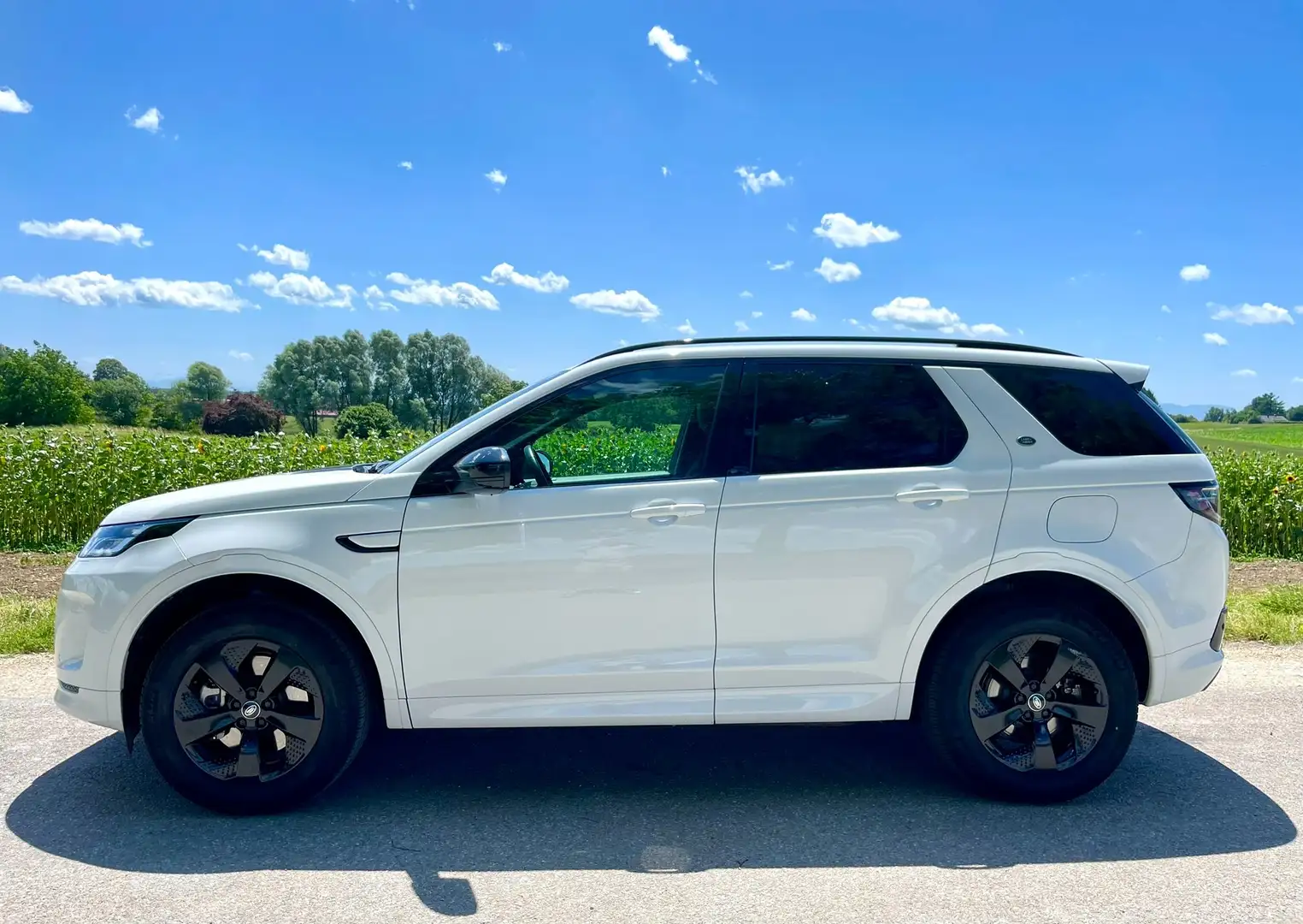 Land Rover Discovery Sport GARANTIE 2028 P300e Plug-In-Hybrid R-Dyna Weiß - 2