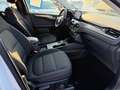 Ford Kuga Plug-In Hybrid Titanium+RFK+Panorama+AHK Weiß - thumbnail 11