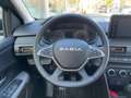 Dacia Sandero Stepway Extreme TCe 110+KAMERA+SHZG+CARP Grigio - thumbnail 9