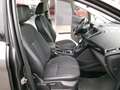 Ford Grand C-Max Grand C-MAX Titanium 2,0TDCi Powershift !!! EXTRAS !!! TOPGEBRAUCHTER !!! Grau - thumbnail 17