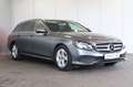 Mercedes-Benz E 250 T Avantgarde COMAND+SIDE+KAM+LED+17" Gris - thumbnail 3
