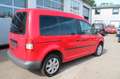 Volkswagen Caddy Life Gewinner Caddy Rot - thumbnail 4