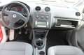 Volkswagen Caddy Life Gewinner Caddy Rot - thumbnail 12
