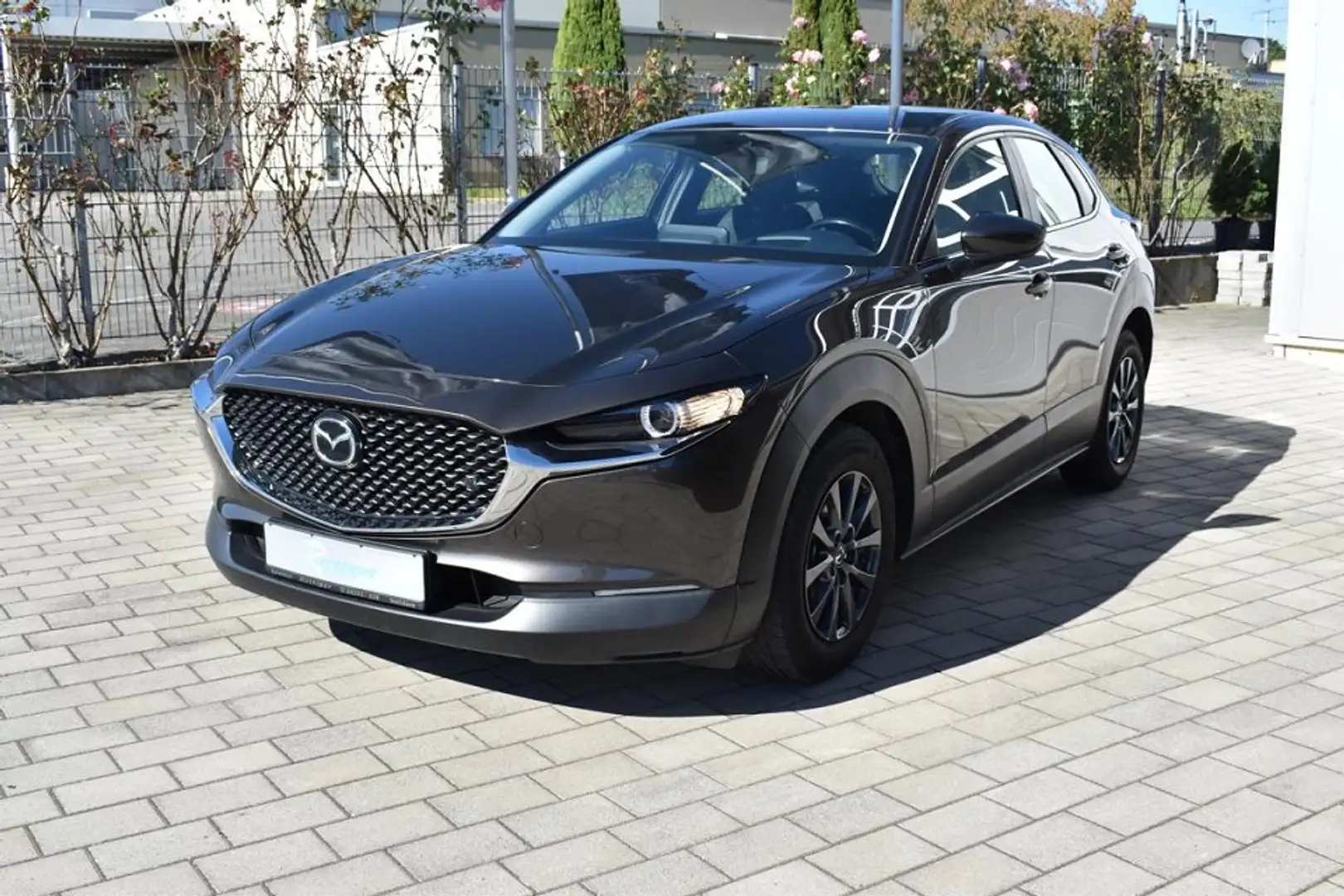 Mazda CX-30 ``Selection`` mit Anhängerkupplung Grau - 1