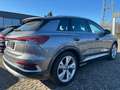 Audi Sonstige 40 e-tron "S line", NP: 61.000 € Grau - thumbnail 3