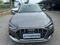 Audi A4 allroad A4 Quattro 40 2.0 tdi Business quattro 190cv Gris - thumbnail 5
