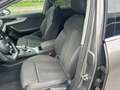 Audi A4 allroad A4 Quattro 40 2.0 tdi Business quattro 190cv Gris - thumbnail 13