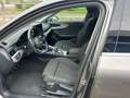 Audi A4 allroad A4 Quattro 40 2.0 tdi Business quattro 190cv Gris - thumbnail 9