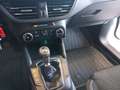 Ford Focus COOL & CONNECT Kombi 120 PS EcoBlue (PROMPT VER... Weiß - thumbnail 16