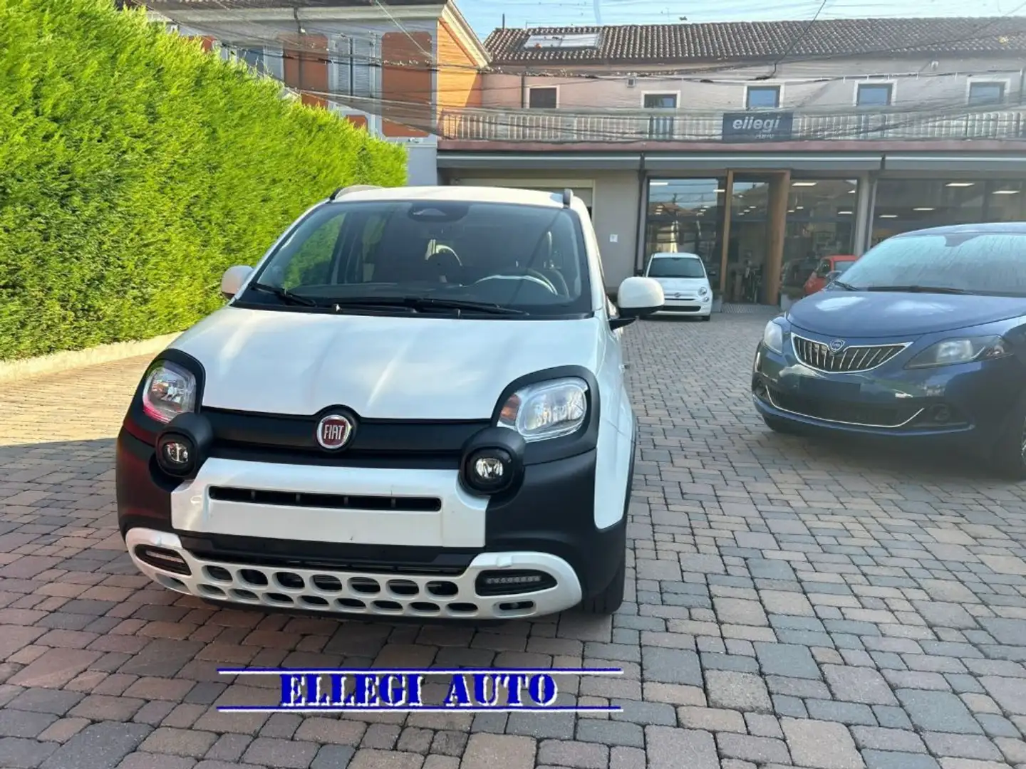 Fiat Pandina PROMO FIN. PANDINA CROSS  1.0 FireFly  Hyb Beyaz - 2