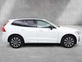Volvo XC60 B4 AWD Plus Dark *Panorama*360°*H/K*Standheizung* Blanc - thumbnail 4