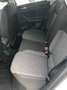 Volkswagen Polo 1.0 tsi MOVE  95cv Fari  Led Navi CarPlay Cerchi Bianco - thumbnail 23