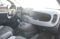 Fiat Panda 1.0 firefly 70CV hybrid S&S Uff Italy Clima USB Grigio - thumbnail 11