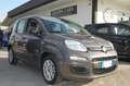 Fiat Panda 1.0 firefly 70CV hybrid S&S Uff Italy Clima USB Grigio - thumbnail 1