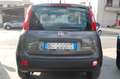 Fiat Panda 1.0 firefly 70CV hybrid S&S Uff Italy Clima USB Grigio - thumbnail 5