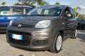 Fiat Panda 1.0 firefly 70CV hybrid S&S Uff Italy Clima USB Grigio - thumbnail 3