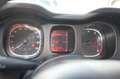 Fiat Panda 1.0 firefly 70CV hybrid S&S Uff Italy Clima USB Grigio - thumbnail 13