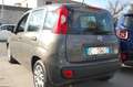 Fiat Panda 1.0 firefly 70CV hybrid S&S Uff Italy Clima USB Grigio - thumbnail 4