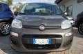 Fiat Panda 1.0 firefly 70CV hybrid S&S Uff Italy Clima USB Grigio - thumbnail 2