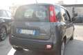 Fiat Panda 1.0 firefly 70CV hybrid S&S Uff Italy Clima USB Grigio - thumbnail 6