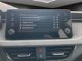 Skoda Kamiq 1.0 TSI Selection LED*PDC*AHK Rückfahrkamera Silber - thumbnail 17