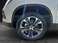 SEAT Ateca Style Edition 1.5 TSI DSG ACC LED KAMERA Blanc - thumbnail 12