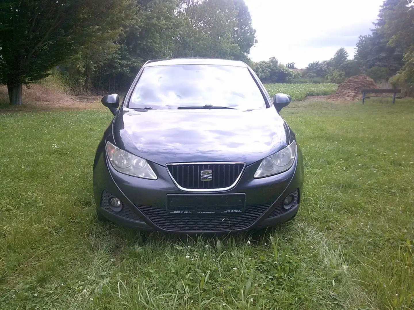 SEAT Ibiza 1.6TDI CR Style DPF 105 Azul - 1