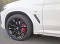 BMW X3 X3 xDrive20d 190ch Executive A Blanco - thumbnail 4