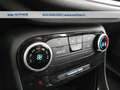 Ford Puma 1.0 ecoboost Connect 95cv Bianco - thumbnail 13