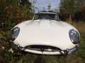 Jaguar E-Type - Serie 1 Coupé 3,8 Liter, der Schönste! Alb - thumbnail 8