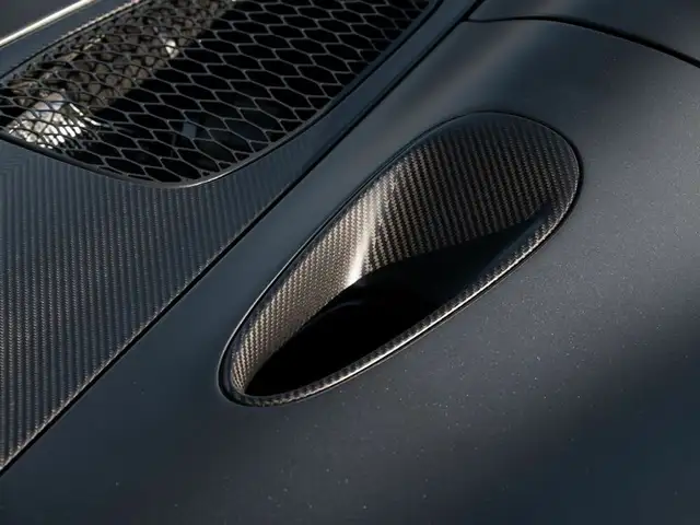 Mclaren Elva view 10
