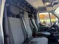 Renault Master T35 2.3 dci PL-TA L3H3 PREZZO € 16.400 + IVA Bianco - thumbnail 21