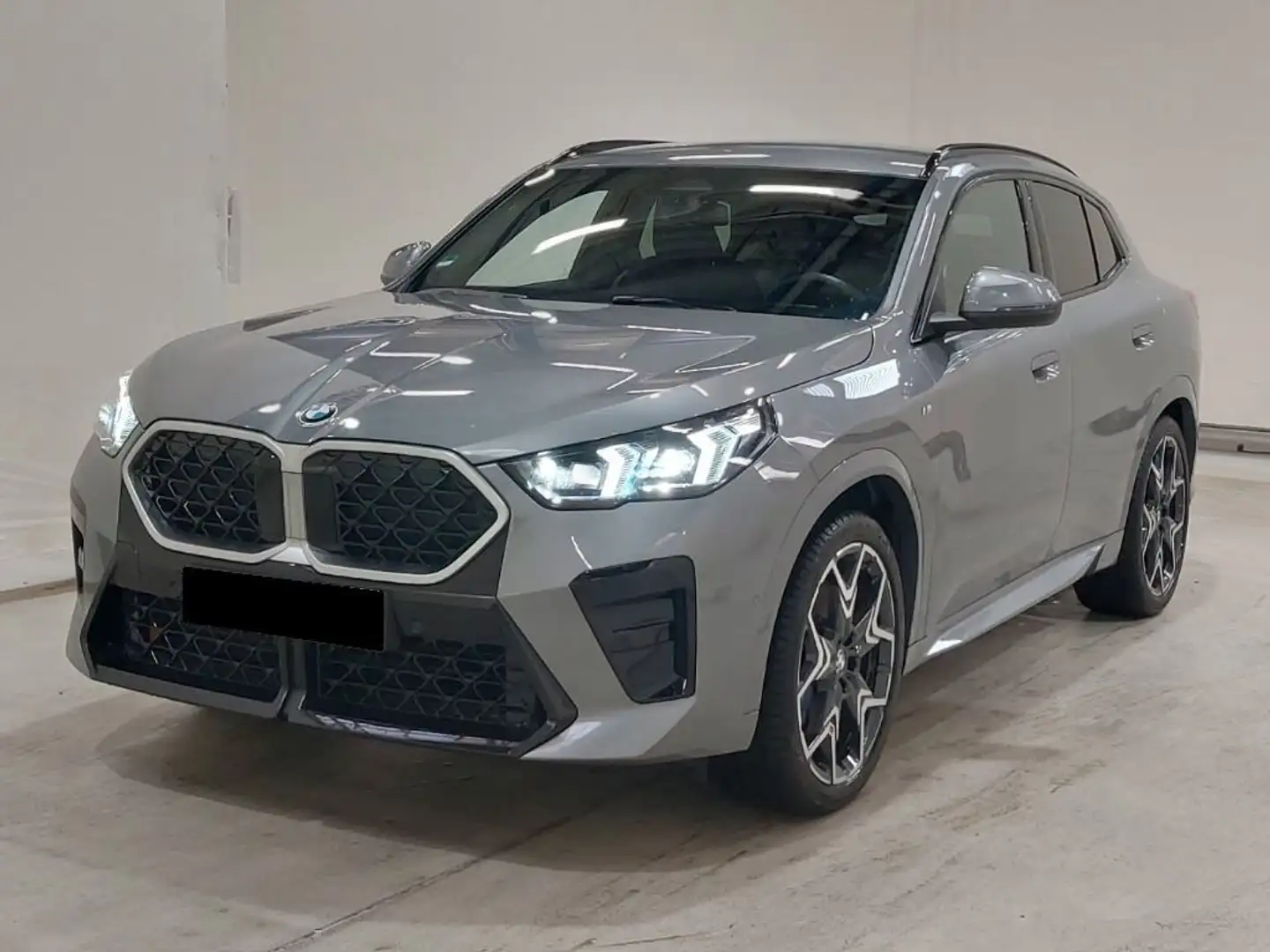 BMW X2 20d xDrive M Sport AHK LRHZ H-K RFK LED Grau - 2