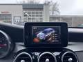 Mercedes-Benz C 180 Estate Edition 1 CLIMA / CRUISE / PANO / LANE ASSI Grau - thumbnail 35