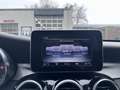 Mercedes-Benz C 180 Estate Edition 1 CLIMA / CRUISE / PANO / LANE ASSI Grau - thumbnail 25